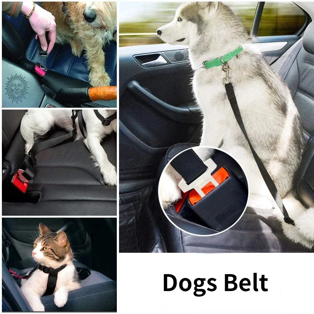 Pet Safety Seat Belt – Adjustable Car Harness for Dogs & Cats