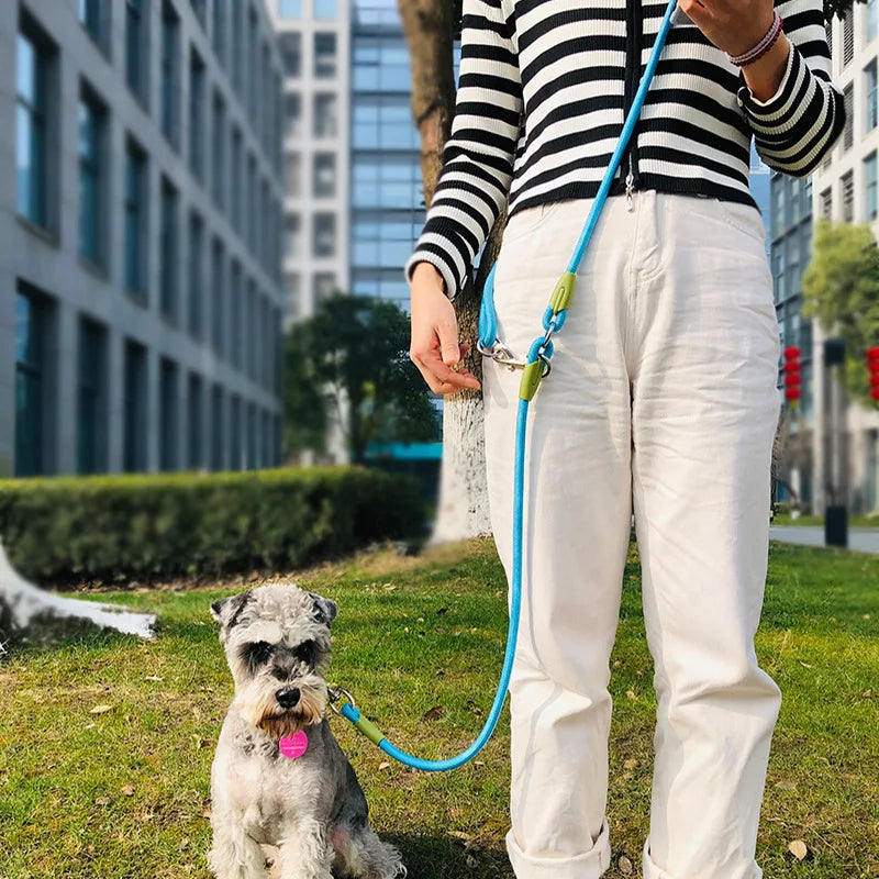 Hands-Free Reflective Dog Leash for Walking & Running