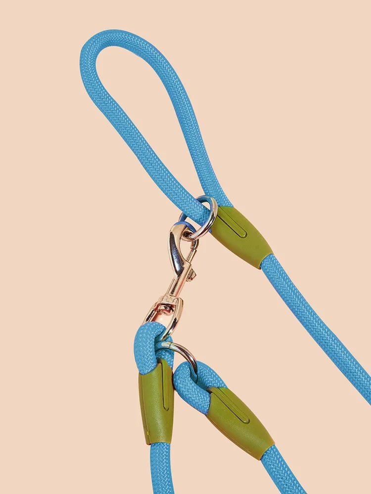 Hands-Free Reflective Dog Leash for Walking & Running