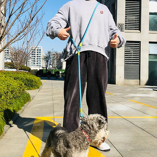 Hands-Free Reflective Dog Leash for Walking & Running